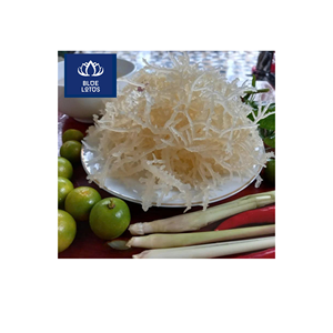 Algues Marines Séchées Écologiques de Qualité Supérieure, Pures et Sûres, Idéales pour l'Épaississement des Aliments et les Préparations de Boissons, Prix d'Usine - Product Image 1