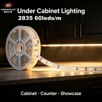 Lampu Strip LED 2835 60leds/m  Lumen Tinggi Lampu Pita LED Fleksibel untuk Dekorasi Proyek Dalam Ruangan