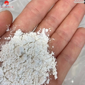 Chaux de CaCO3 de haute qualité fabriquée au Vietnam, provenant de la meilleure mine, approvisionnement fiable, modèle VNT-2CS Nhat Thang VNT 7, applications industrielles - Product Image 5