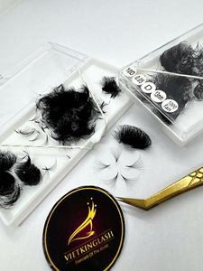 Extensions de cils D Curl 0,05 mm d'épaisseur, volume complet, faites à la main en matériau PBT, extensions de cils individuelles de 13 mm dans une boîte en carton - Product Image 5