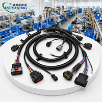 Kabel Harness Konektor ECU Mobil Kustom Dengan Konektor Kabel Mobil Am Phenol untuk Elektronik Otomotif