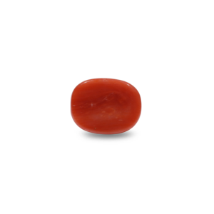 Natural Red Coral Oval Cabochon Loose Gemstone 8.25 Carat Certified Wholesale - Product Image 2