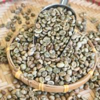 Fourniture en gros de grains de café Robusta Origine du Vietnam Spécialité Qualité Bon prix pour le commerce international Quantité en vrac