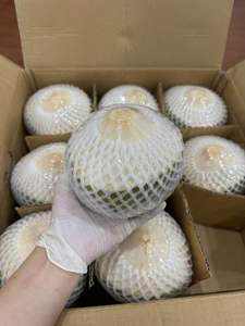 มะพร้าวสดจากเวียดนามสำหรับดื่มหรือรวมเข้ากับจานข้าว - Product Image 3