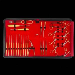 Juego de Cirugía de Timpanoplastia, Kit de 30 Piezas de Instrumentos Quirúrgicos para Oído, Bolsa de Acero Inoxidable para Perros y Gatos, Modelo SOA-034887333465 - Product Image 1