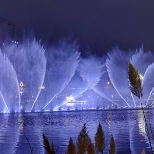 Fuente de Agua Decorativa para Exteriores, Comercial, de Acero Inoxidable, Grande, con Control Musical DMX, Resistente al Agua, para Lagos - Product Image 5