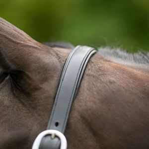 Premium quality English style horse bridle and <b>halter</b> made from genuine leather for outdoor equestrian use Wholesale Price - Product Image 3