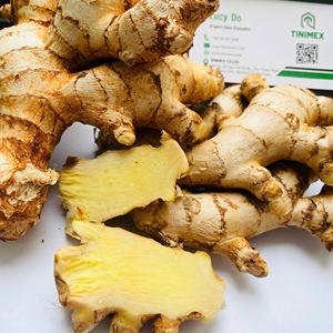 ขิงสดล้างหนุ่มอร่อย/gingembre frais/ingwer-ผลิตภัณฑ์ที่มีประโยชน์ที่มีการใช้งานมากมาย (W...A: + 84362512699) - Product Image 2