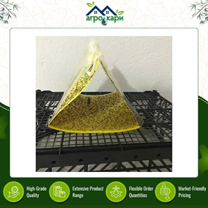 กาวดักแมลงแบบสองหน้า ทนทานต่อรังสียูวี ยืดหยุ่นสูง รูปทรงสี่เหลี่ยมผืนผ้า สำหรับควบคุมแมลงศัตรูพืชและยุง ใช้ได้กับโรงเรือนและฟาร์ม - Product Image 5