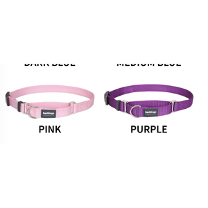 Collar Martingale RedDingo con Medio Cuello para Perros, Color Turquesa (Grande) - Product Image 5