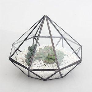 Home Perfect Geometric Glass Terrarium with Black / Gold Metal <b>Frame</b> for Air Succulent <b>Plant</b> - Product Image 3