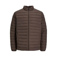 Blouson matelassé en toile à capuche pour homme, personnalisable, effet bulle brillant, léger, grande taille, streetwear, hiver, vente en gros