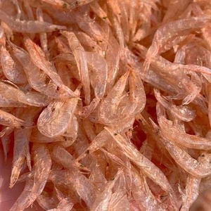 Premium Chopped Dried Baby <b>Shrimp</b> Food Grade Export Quality 24-Month Shelf Life Bulk OEM Private Label Available Wholesale - Product Image 4