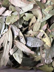 ใบอบเชยคุณภาพสูงสำหรับส่งออก เครื่องเทศธรรมชาติเพื่อสุขภาพและรสชาติ - Product Image 3