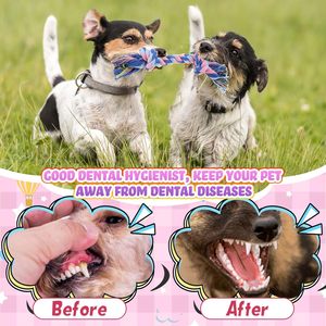 Jouets pour chiens de haute qualité en gros : Cordes à mâcher en coton pour l'hygiène dentaire et la dentition, jouet de brouillard à 2 nœuds pour mâcheurs agressifs, multicolore, 12 pouces - Product Image 5