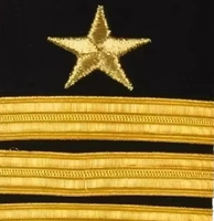 Accessoire vestimentaire 2026 : Dernière tendance, design mode, 100 % fait main, écusson brodé sur mesure en bullion pour épaule
