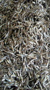 MEILLEUR PRIX |   Anchois séchés propres 3-5cm 6-9cm – Qualité supérieure, approvisionnement en gros pour soupes, provenance Vietnam - Product Image 2