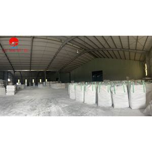 Poudre de carbonate de calcium pur 98% haute blancheur pour l'utilisation de la peinture et du revêtement - Product Image 1