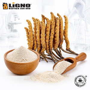 ผงตัวผลของเห็ดถั่งเช่าสีทอง LiGNO OCS02 |   สารสกัดจากถั่งเช่า |   อาหารเพื่อสุขภาพเกรดอาหาร |   แห้งเย็น |   ใช้งานได้จริง | - Product Image 1