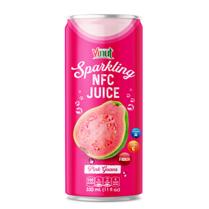 น้ำว่านหางจระเข้พร้อมเนื้อใน บรรจุขวด PET 500 มล. ไม่เติมน้ำตาล VINUT Sparkling 10 สำหรับผู้ค้าส่ง ผู้นำเข้า และธุรกิจโฮเรก้า - Product Image 1