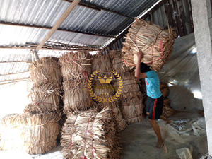 PRECIO MUY BARATO MATERIA PRIMA ECOLÓGICA AGUA SECA JACINTO CANTIDAD A GRANEL DE MUY ALTA CALIDAD DE VIETNAM - Product Image 5