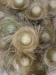 Sombreros Pava de Exportación al por Mayor, Sombrero Puertorriqueño, Sombrero de Paja Bad Bunny, Color Natural para el Verano, Símbolo Festivo de la Cultura Latina - Product Image 6