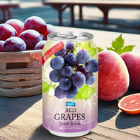 Beste Hoge Kwaliteit Gearomatiseerd Fruit & Groentesap Met Vitaminen Mineralen Laag Moq Gratis Monster Voor Usa Canada Afrika China Export