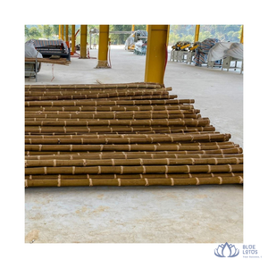 [HAUTE QUALITÉ] Canne en bambou Tonkin durable en gros pour la construction de clôtures et les projets de bricolage, personnalisable de la part de Blue Lotus Farm - Product Image 1