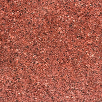 Dalles de pavage en granit poli chinois - Gris clair, Jaune rouillé, Rouge érable, Gris foncé - Pierre naturelle écologique découpée sur mesure