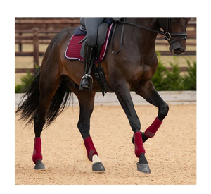Bottes de protection pour chevaux, bottes de sport équestres avec votre logo de marque, en caoutchouc éponge respirant pour l'extérieur - Product Image 5