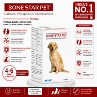 Suplemen Nutrisi Anjing Kucing Bone Star Plus Kualitas Terbaik Vitamin E Kalsium Zat Besi Vitamin Mineral Cair/Bubuk Bebas Biji-bijian 2