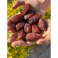 Dattes Ajwa séchées et conservées dans l'eau, biologiques, de qualité supérieure, meilleur prix, carton de 25 kg en vrac