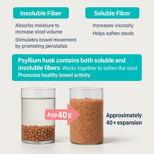 Fibres de Psyllium Probiotiques 17 Souches Soutien Naturel de la Santé Intestinale pour Adultes 30 Sachets 5g Granulés Corée - Product Image 5