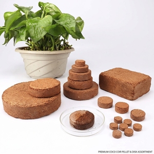 แผ่นพีทย่อยสลายได้ขนาด 15 ซม. 4 ลิตร สำหรับระบบปลูกพืชไร้ดิน พืชสวน และดอกไม้ - เป็นมิตรกับสิ่งแวดล้อม รักษาความชื้นสูง น้ำหนักเบา - Product Image 2