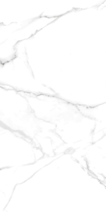 Vente directe d'usine, carreaux de sol en granit 600x1200mm super polis pour salle de banquet. - Product Image 2