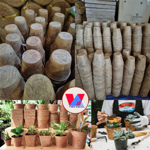 Maceta Colgante Grande de Fibra de Coco, Cesta Decorativa Natural para Plantas, Soporte para Flores, Recipiente de Turba de Coco para Orquídeas, Jardín y Decoración del Hogar - Product Image 3