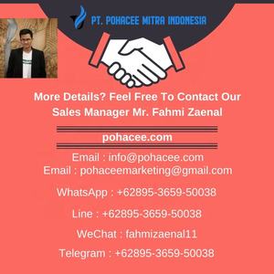 Kabul 2% Ash para Shisha Carbón de coco Briquetas de carbón de coco Premium que lo hacen Carbón de Cachimba de ceniza blanca natural - Product Image 2