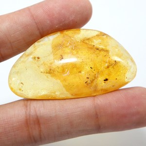 Cabochon lisse en ambre naturel de la Baltique avec insectes inclus, pierre précieuse en ambre en vrac - Product Image 1