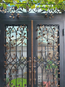 Puerta de Entrada de Hierro Decorativa Francesa Personalizada, Impermeable, con Marco de Acero y Panel de Vidrio, para Proyectos de Hoteles, Villas y Escaleras - Product Image 5