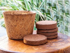 Macetas de Fibra de Coco de Alta Calidad, Macetas Biodegradables Naturales para Viveros, Jardines y Agricultura - Product Image 5