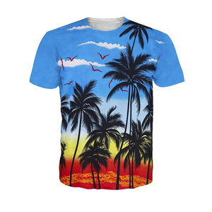เสื้อยืดวิ่งออกกำลังกายสำหรับผู้ชาย แขนสั้น โพลีเอสเตอร์ 100% แบบลำลอง รับผลิตตามแบบ (OEM) พร้อมโลโก้พิมพ์ลายแบบ Sublimation ด้านหน้าดีไซน์สวยงาม - Product Image 3