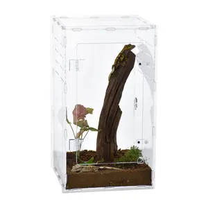 Gaiola de exibição com tampa magnética vertical alta personalizada transparente acrílico para aranhas e répteis, caixa de exibição para aranhas e tarântulas