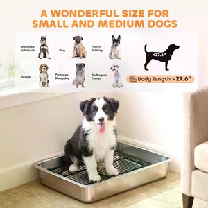 Vassoio igienico per cani, accessori per l'addestramento degli animali domestici, nessuna spedizione nei fine settimana - Product Image 5
