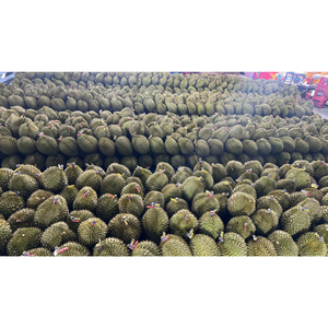 Durian Fresco de Calidad Grado B, Fruta Tropical de Vietnam, Entero, RI6, Amarillo Natural con Rico Sabor, 1.8-2.5 kg, VH Food, 20-30 cm - Product Image 1