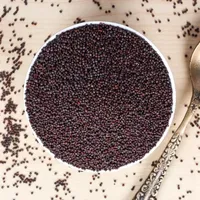 Graines de colza biologiques séchées d'origine indienne, approvisionnement agricole en vrac, CRADLE of LIFE, durée de conservation de 24 mois pour l'huile de cuisson