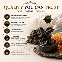 Résine de Shilajit de l'Himalaya OEM/ODM infusée au miel brut 10g – Mélange pur et naturel de Shilajit et de miel pour l'énergie et la vitalité