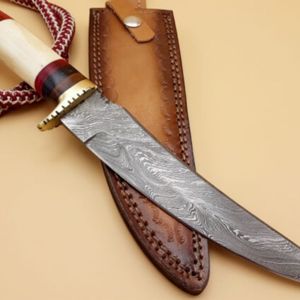 Cuchillos de Caza Profesionales de Hoja Fija con Construcción de Acero Inoxidable Resistente y Empuñadura Ergonómica para Campismo y Senderismo al Aire Libre - Product Image 5