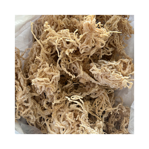 สาหร่ายคอตตอนนีแห้ง (Eucheuma cottonii) สำหรับอุตสาหกรรมอาหาร การผลิตคาร์ราจีแนน และการแปรรูปอุตสาหกรรม - Product Image 3