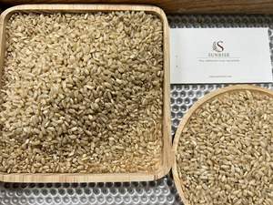 ข้าวหอมมะลิสีน้ำตาลแห้งเพื่อสุขภาพสำหรับชาวเวียดนาม/ชาวจาโปนิกาไรซ์ริซมอร์เดวิดใส่ + 84986778999 - Product Image 3