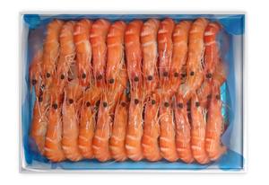 กุ้ง vannamei แช่แข็งแบบพรีเมี่ยมรับประกันความสดใหม่สั่งซื้อจำนวนมาก | มาจากเวียดนาม - Product Image 5
